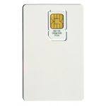Avaya IH4 MEM-Card