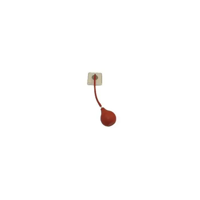 Avaya Secom Pneumatik Balltaster (R-WS)