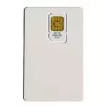 Avaya FC1 MEM-Card