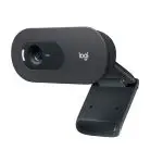 Logitech HD-Webcam C505e
